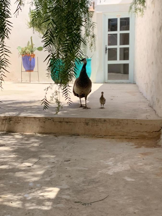 Suite Beldi, La Maison Des Paons Sidi Kaouki Exterior photo